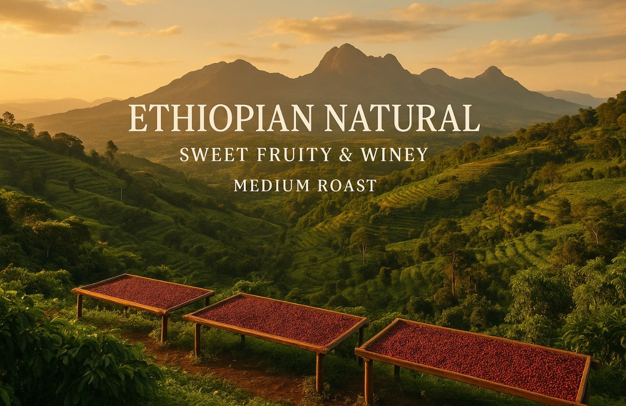 Ethiopian Natural – Sweet Fruity & Winey Medium Roast - Big Fella’s Coffee