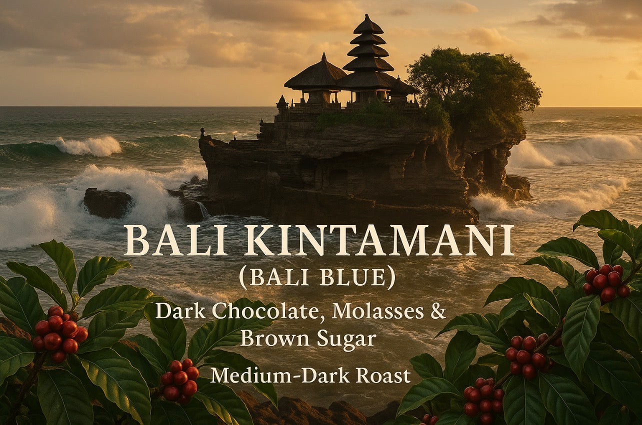 Bali Kintamani (Bali Blue) — Dark Chocolate, Molasses & Brown Sugar Medium-Dark Roast - Big Fella’s Coffee
