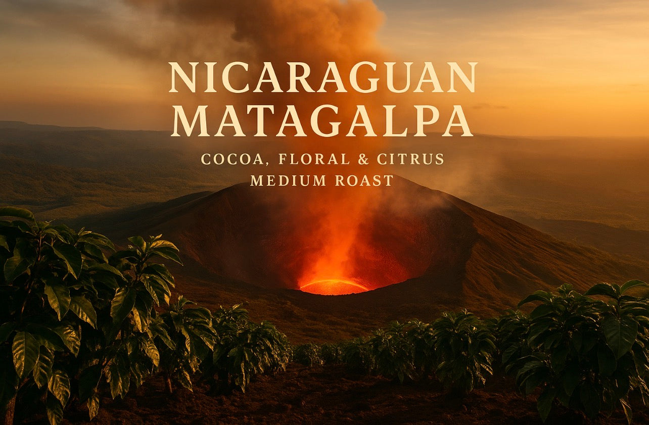 Nicaraguan Matagalpa – Cocoa, Floral & Citrus Medium Roast - Big Fella’s Coffee