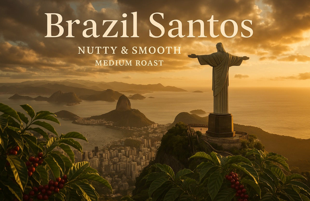 Brazil Santos – Nutty & Smooth Medium Roast - Big Fella’s Coffee 