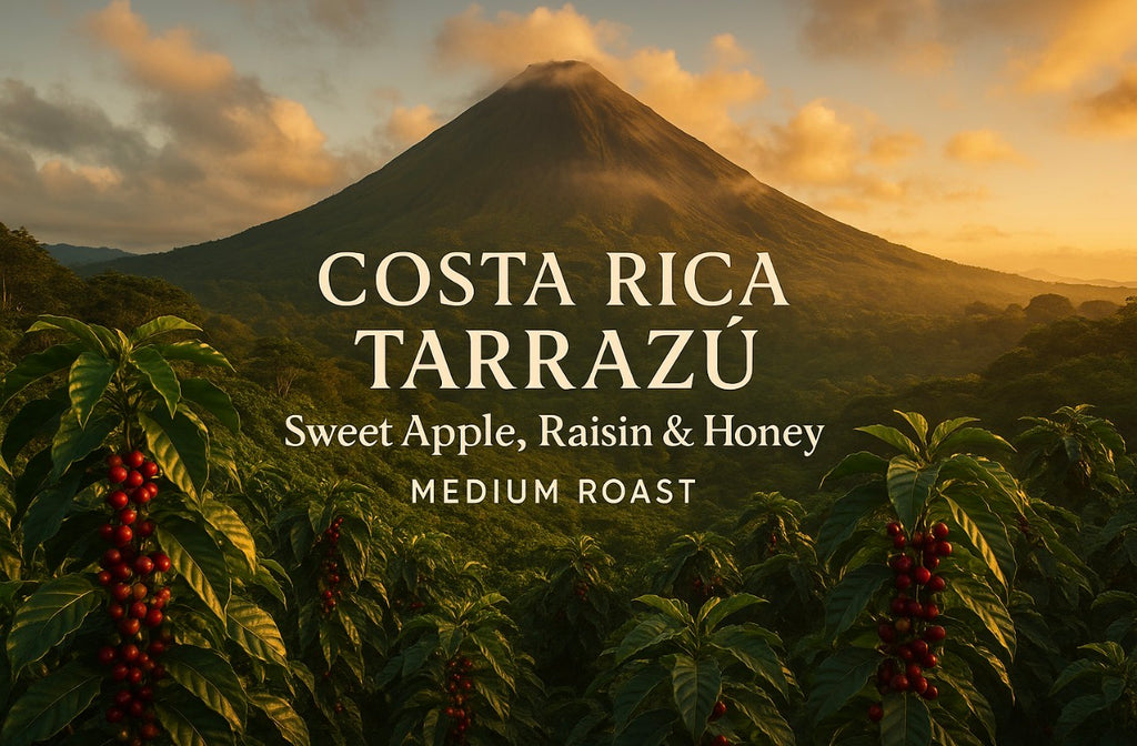 Costa Rica Tarrazú – Sweet Apple, Raisin & Honey Medium Roast
