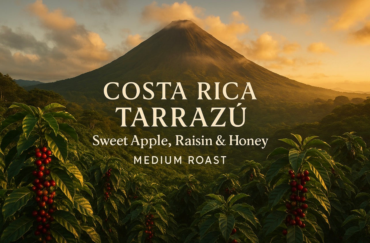 Costa Rica Tarrazú – Sweet Apple, Raisin & Honey Medium Roast