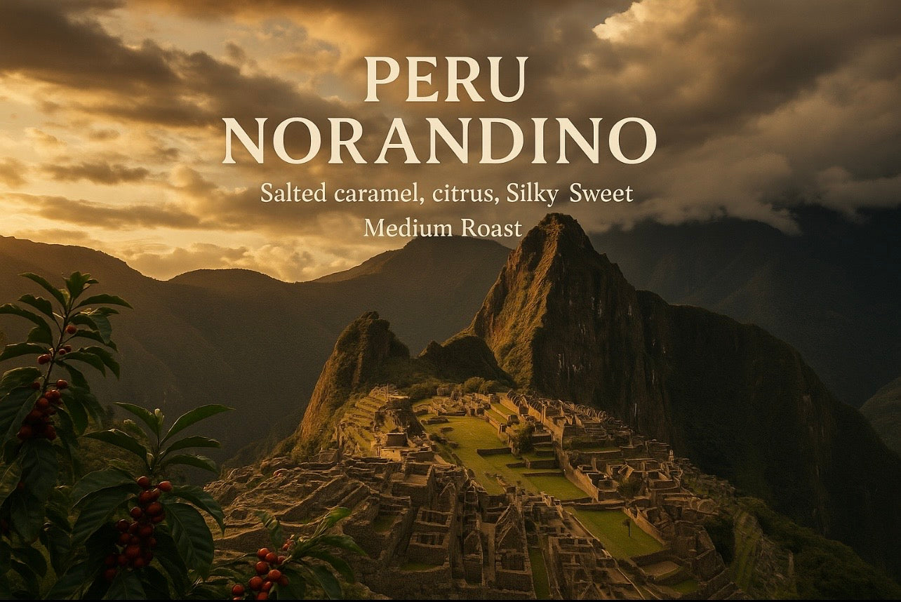 Peru Norandino – Salted caramel, citrus, Silky, Sweet, Medium Roast - Big Fella’s Coffee 