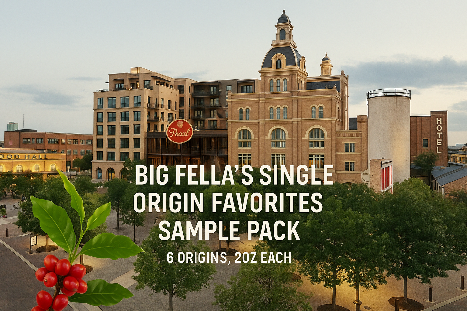 Big Fella's Single Origin Favorites Sample Pack